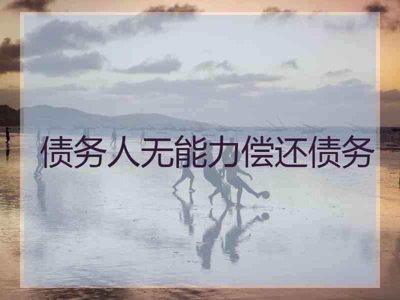 债务人无能力偿还债务
