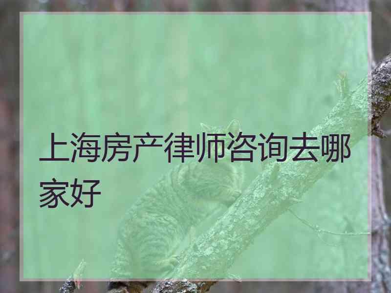 上海房产律师咨询去哪家好