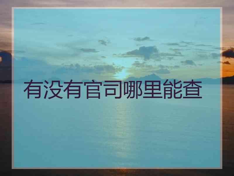 有没有官司哪里能查