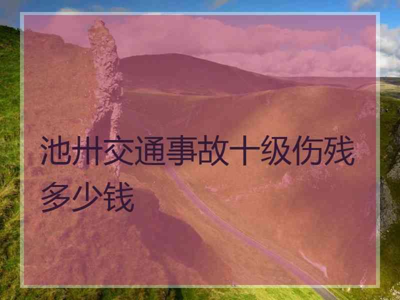 池卅交通事故十级伤残多少钱