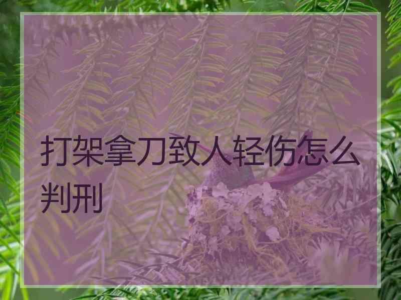 打架拿刀致人轻伤怎么判刑