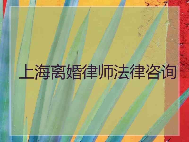 上海离婚律师法律咨询