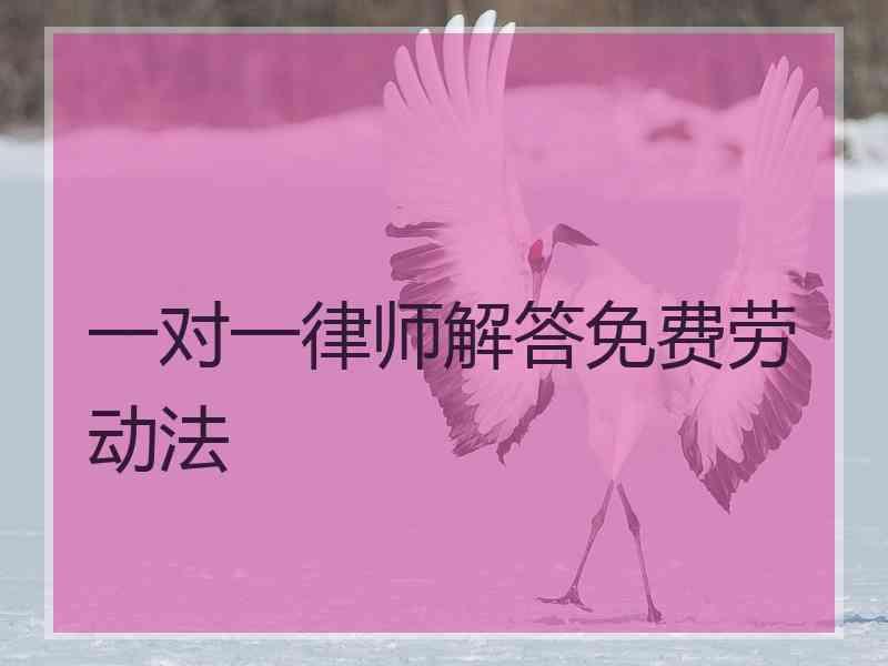 一对一律师解答免费劳动法