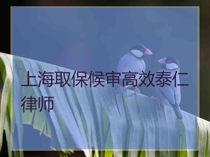 上海取保候审高效泰仁律师