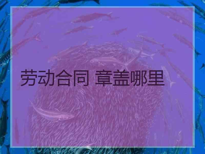 劳动合同 章盖哪里