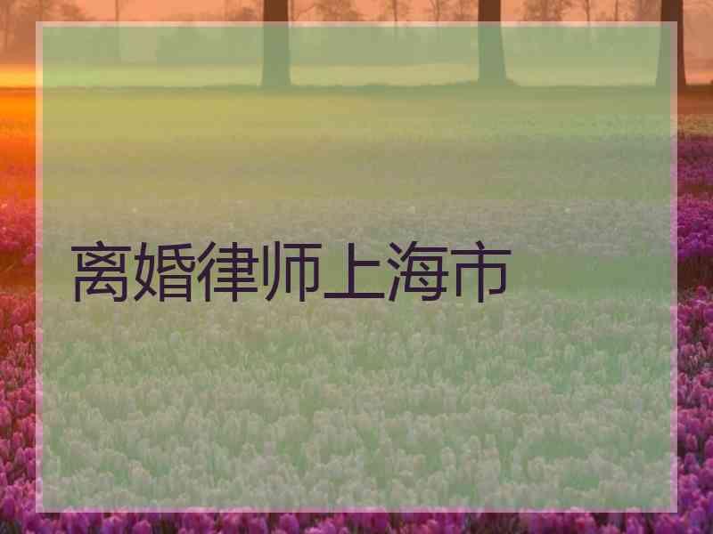 离婚律师上海市