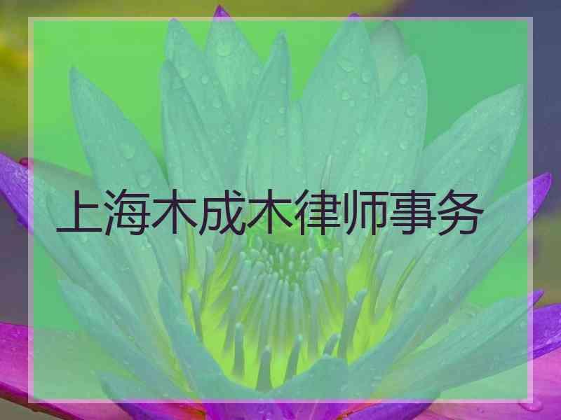 上海木成木律师事务