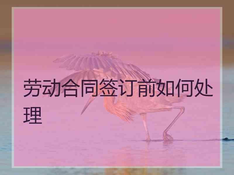 劳动合同签订前如何处理