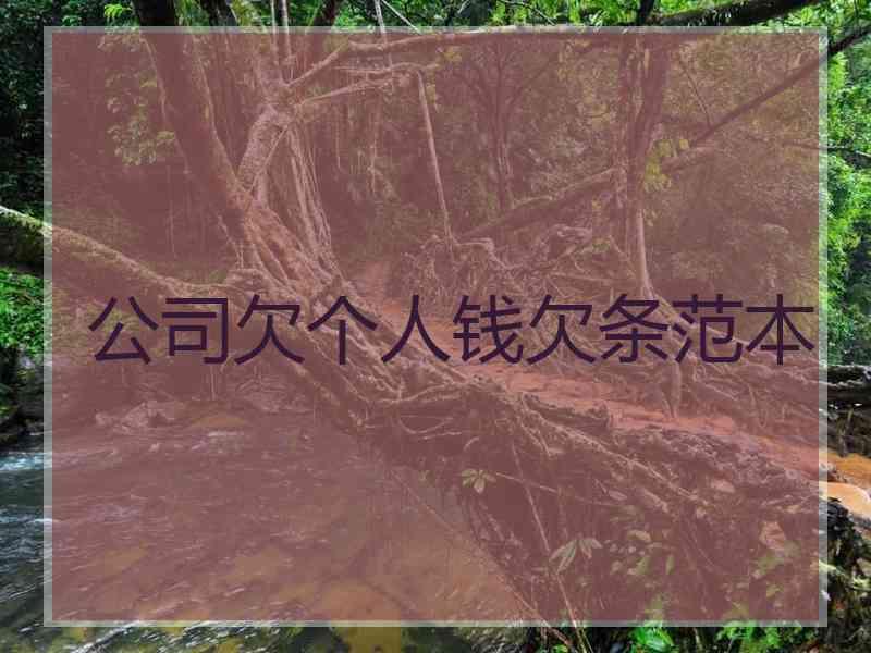 公司欠个人钱欠条范本