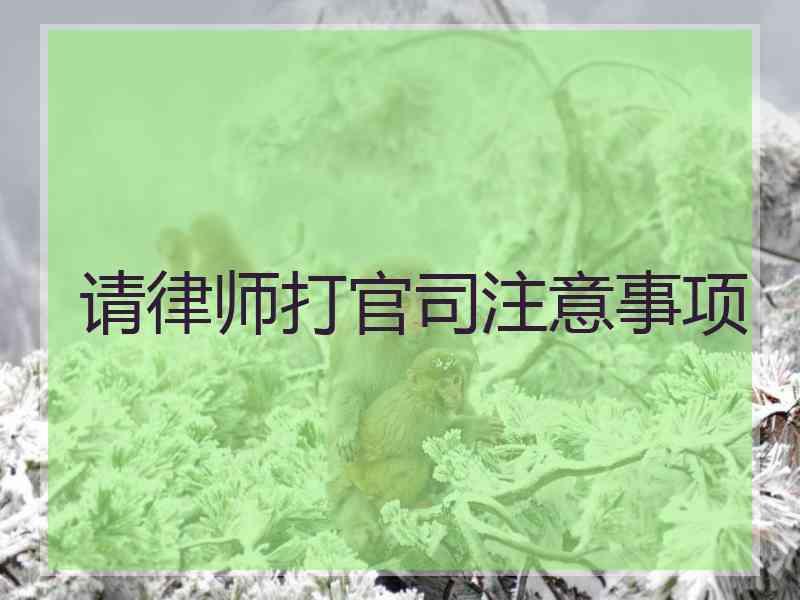 请律师打官司注意事项