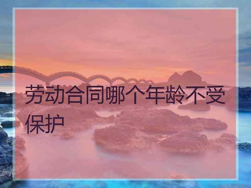 劳动合同哪个年龄不受保护