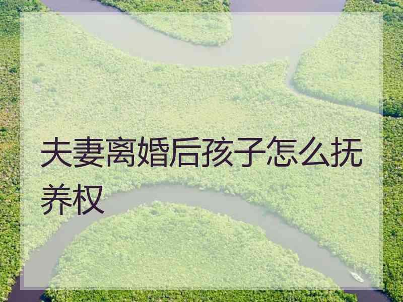 夫妻离婚后孩子怎么抚养权
