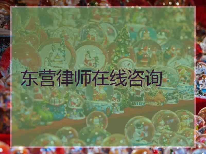 东营律师在线咨询