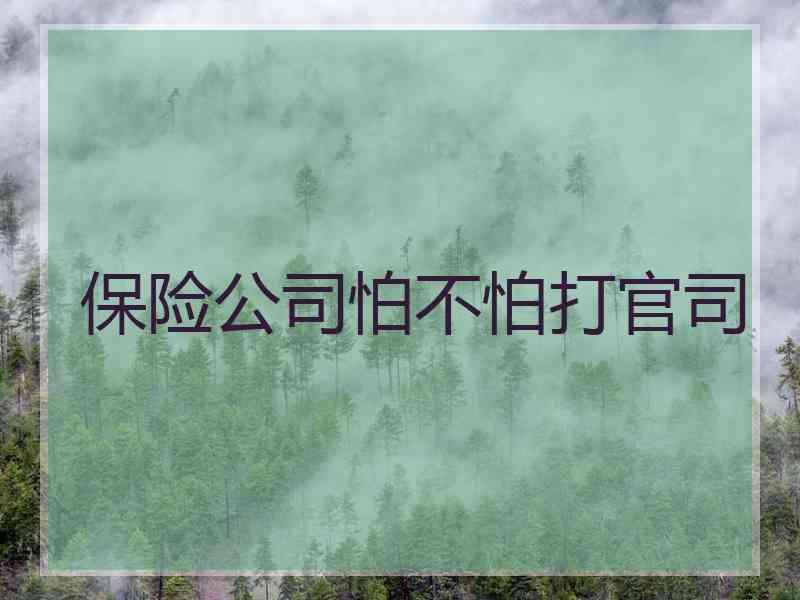 保险公司怕不怕打官司