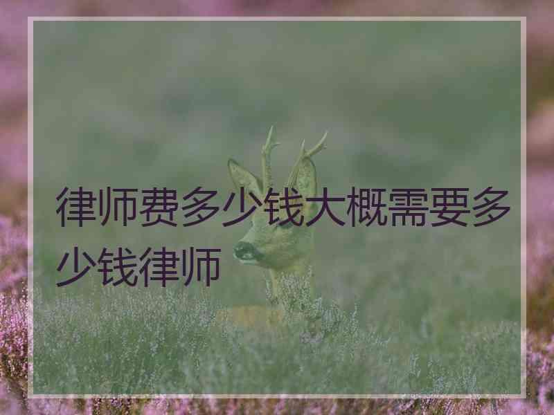 律师费多少钱大概需要多少钱律师