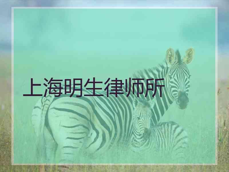 上海明生律师所