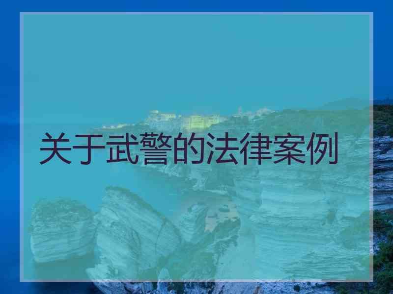 关于武警的法律案例