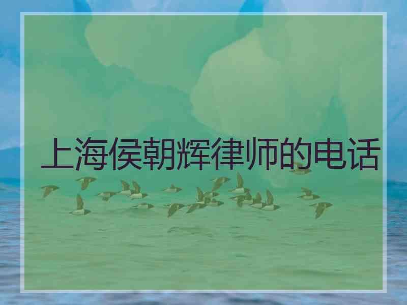 上海侯朝辉律师的电话