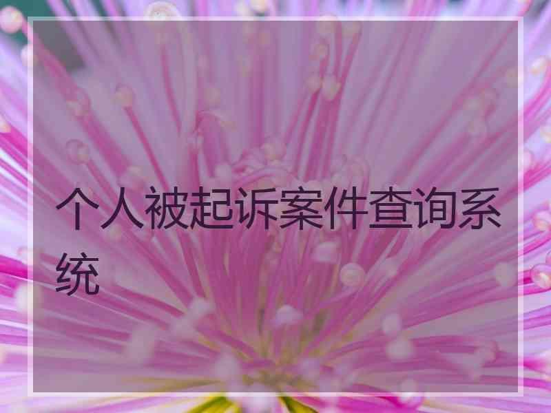 个人被起诉案件查询系统