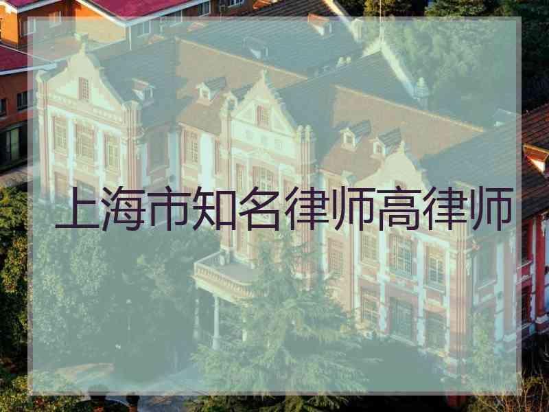 上海市知名律师高律师