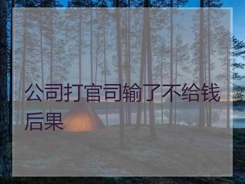 公司打官司输了不给钱后果