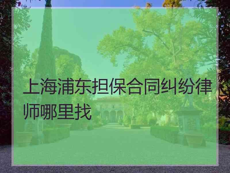 上海浦东担保合同纠纷律师哪里找