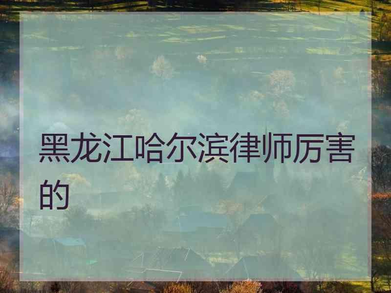 黑龙江哈尔滨律师厉害的