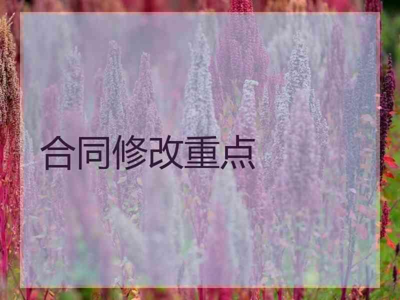 合同修改重点