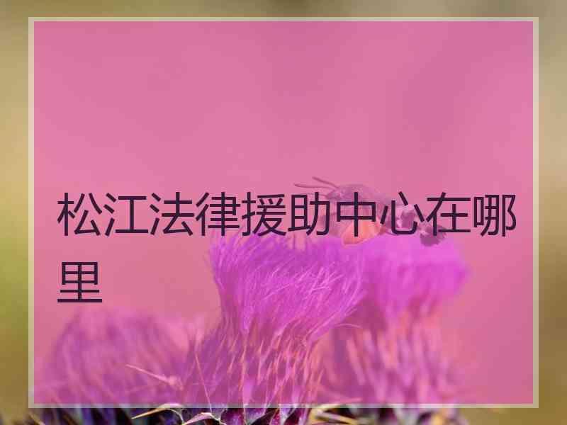 松江法律援助中心在哪里