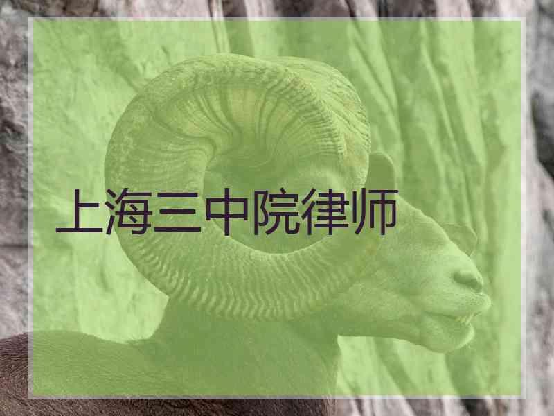 上海三中院律师