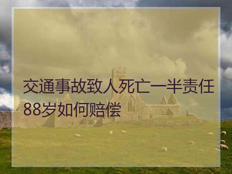 交通事故致人死亡一半责任88岁如何赔偿