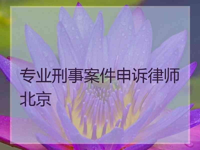 专业刑事案件申诉律师北京