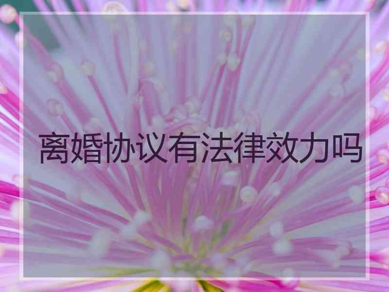 离婚协议有法律效力吗