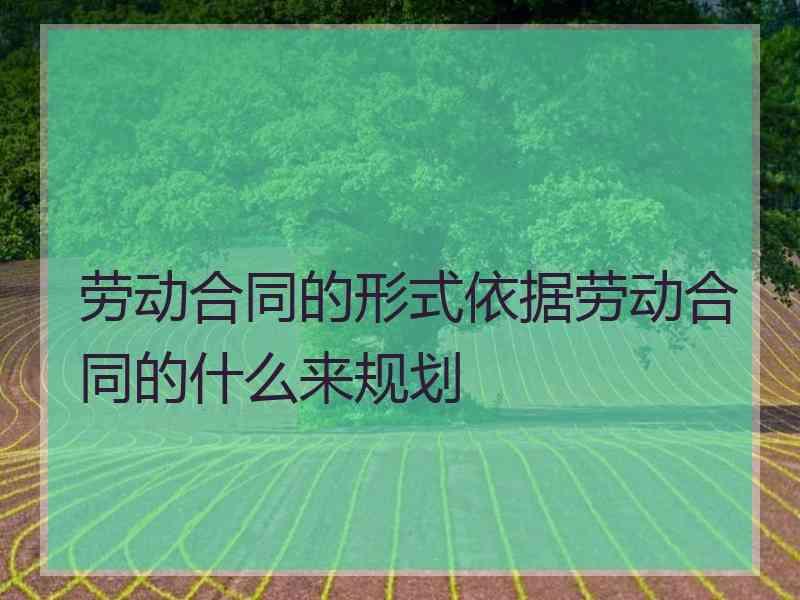 劳动合同的形式依据劳动合同的什么来规划