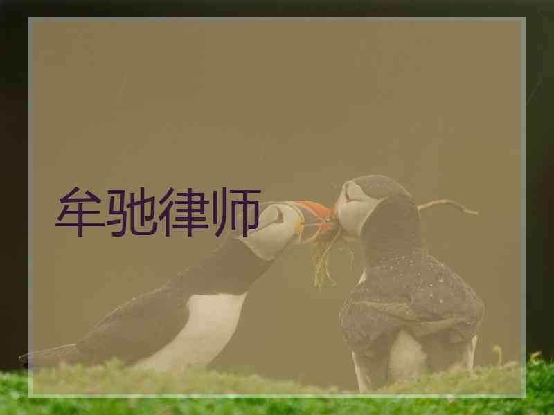 牟驰律师