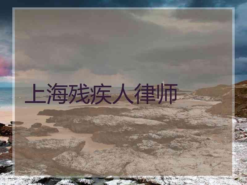 上海残疾人律师