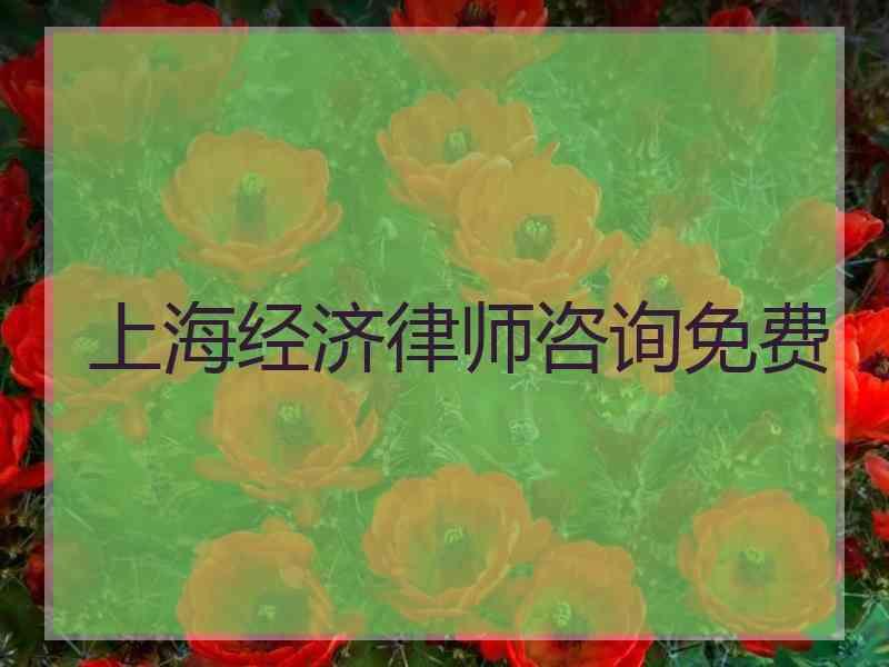 上海经济律师咨询免费