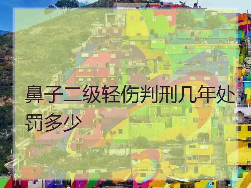 鼻子二级轻伤判刑几年处罚多少