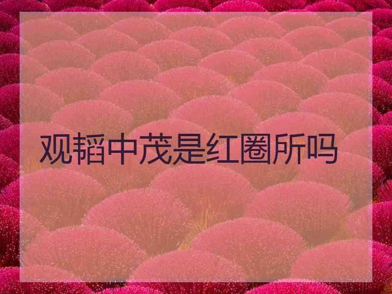 观韬中茂是红圈所吗