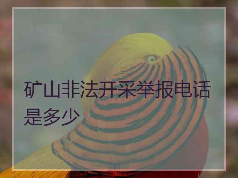 矿山非法开采举报电话是多少