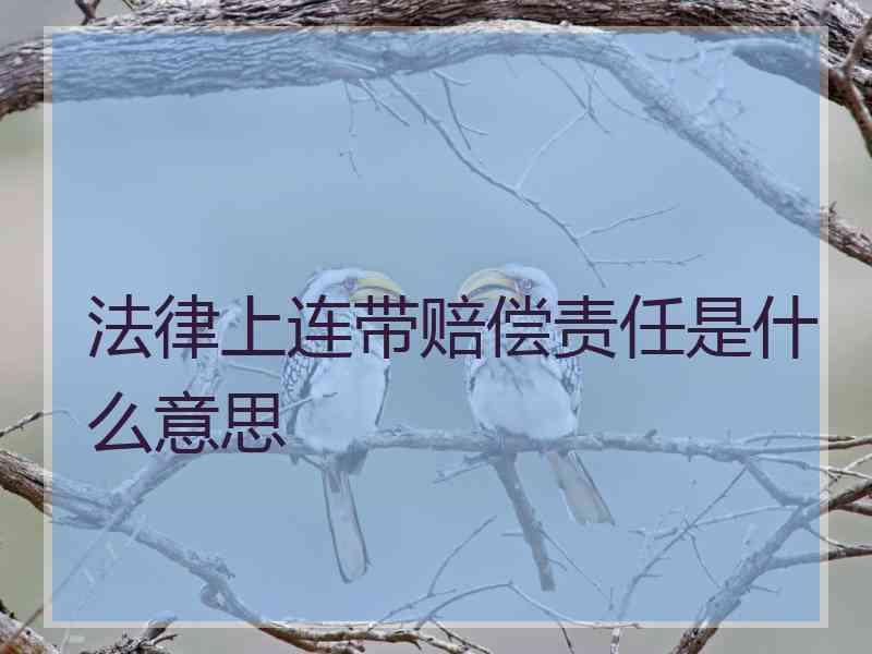 法律上连带赔偿责任是什么意思