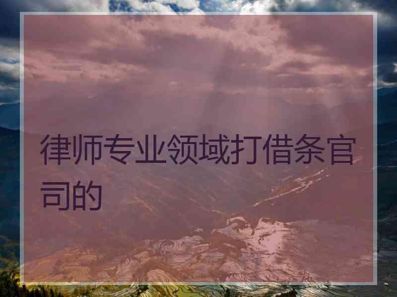 律师专业领域打借条官司的