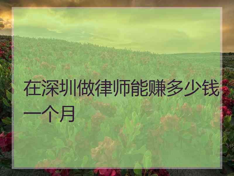 在深圳做律师能赚多少钱一个月