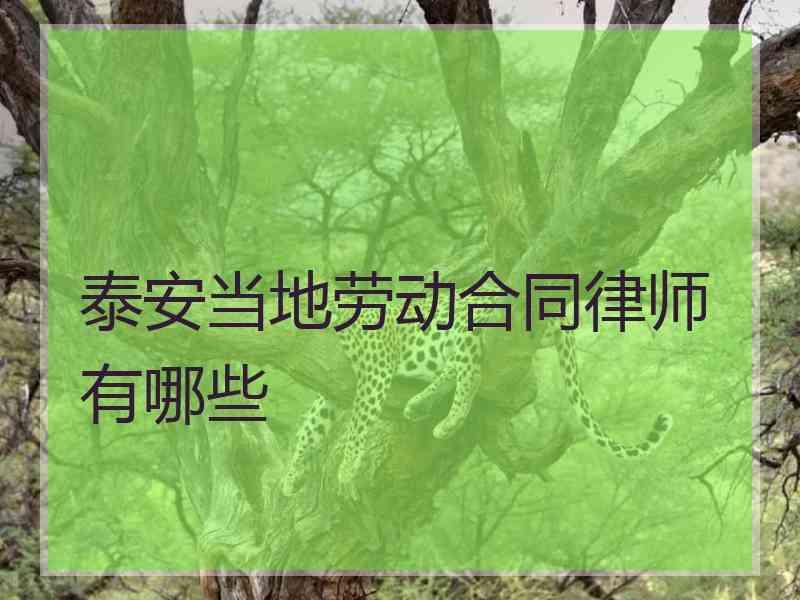 泰安当地劳动合同律师有哪些