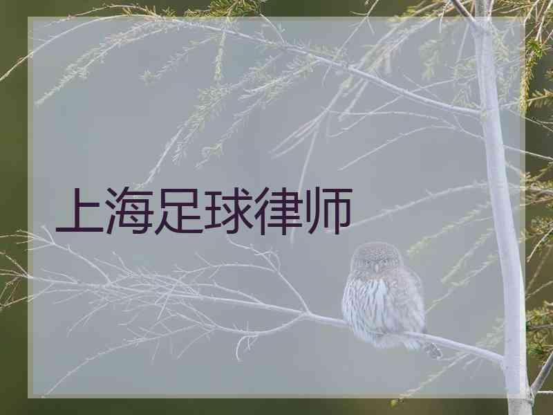 上海足球律师