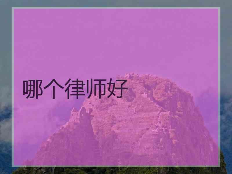 哪个律师好