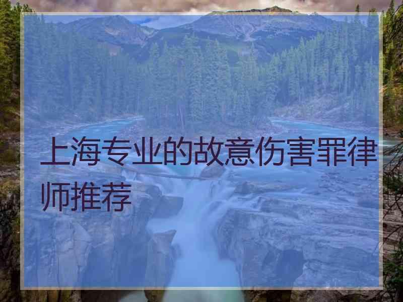 上海专业的故意伤害罪律师推荐