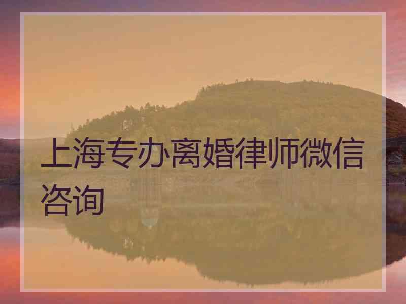 上海专办离婚律师微信咨询