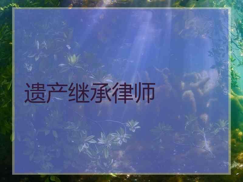 遗产继承律师