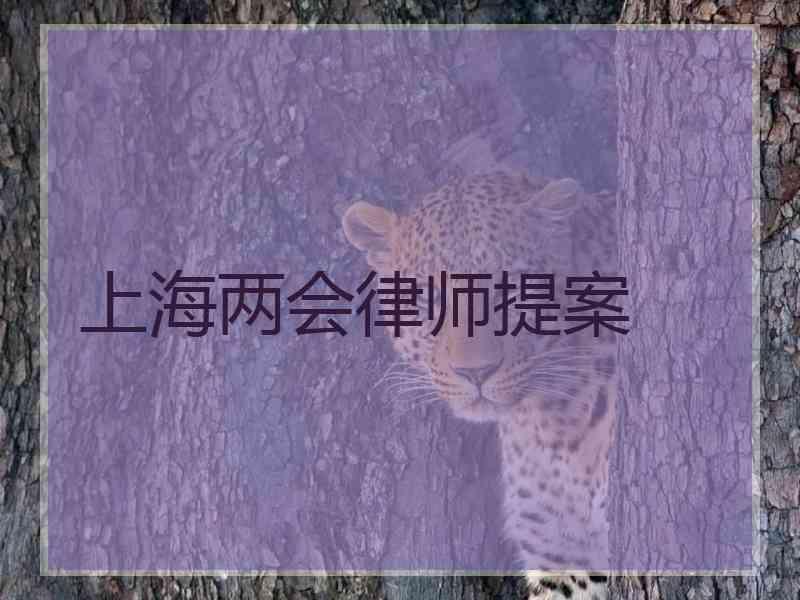 上海两会律师提案